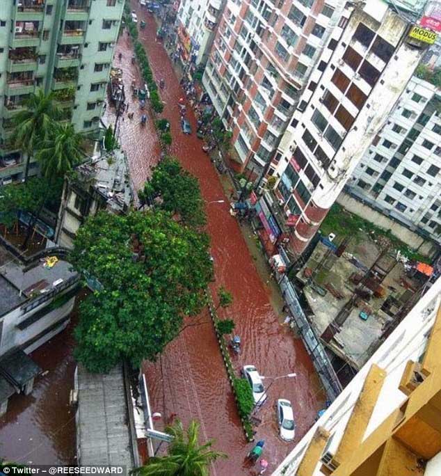 Thông thường, người Hồi giáo thường giết bò, cừu hoặc dê để tưởng nhớ nhà tiên tri Ibrahim.