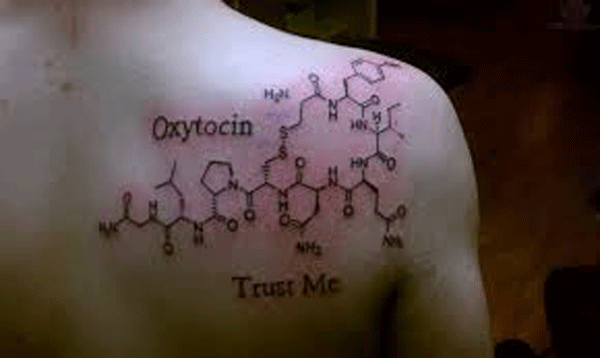 
Oxytocin được coi là “hoóc môn sung sướng” của con người

