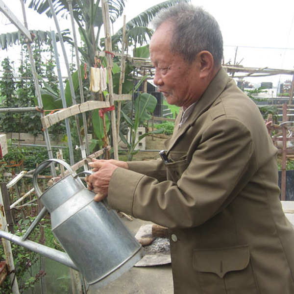 
Mỗi ngày hai bận sáng và chiều ông ra khu mộ để trò chuyện với người vợ quá cố và tưới cây, tỉa hoa cho khu vườn thêm tràn đầy sức sống
