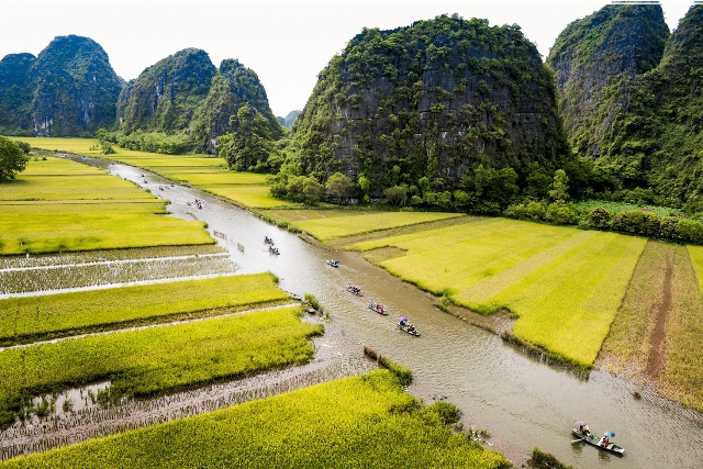 
Tràng An- Ninh Bình mùa lúa trổ
