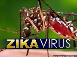Việt Nam đã bị virus Zika tấn công. Ảnh minh họa