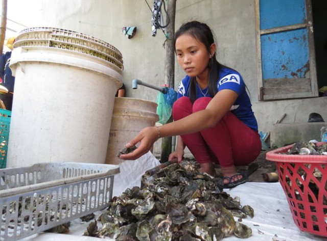 Trần Thị Ngọc Hân giúp mẹ chẻ hàu.