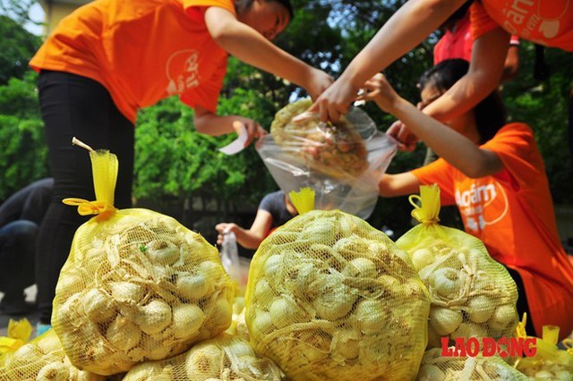 Chung tay ủng hộ mua hành, tỏi cho bà con nông dân đảo Lý Sơn tại Hà Nội.