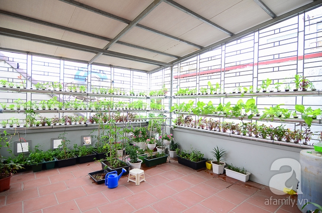 Khu vườn nhỏ tr&ecirc;n s&acirc;n thượng của chị c&oacute; diện t&iacute;ch khoảng 25m&sup2;.