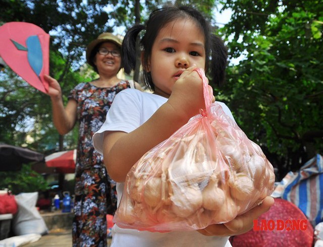 Gia đình sống bằng nghề trồng hành, tỏi nên tôi thấu hiểu được sự vất vả của người dân. Tôi quyết định đứng ra thu mua hành, tỏi của bà con và mang ra thủ đô để phân phối lại. Dù biết số lượng thu mua của tôi không thấm vào đâu so với số hành, tỏi bị tồn đọng nhưng giúp đỡ được bà con là tôi thấy vui rồi, anh Thắm tâm sự.