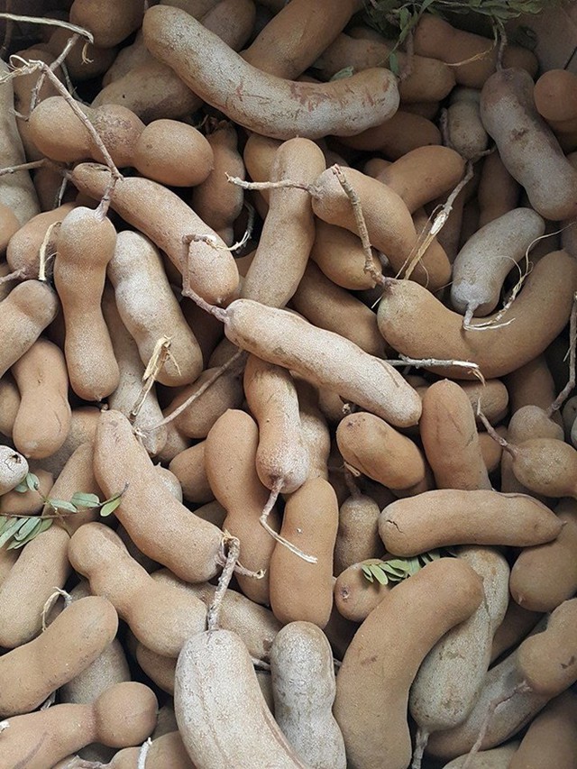 Nhiều người hoài nghi loại me có dáng trái suôn, tròn, đều tăm tắp này có nguồn gốc từ Trung Quốc. Ảnh: Đ.S.