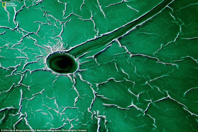Tác phẩm Asteroid (Tiểu hành tinh) của nhiếp ảnh gia Tây Ban Nha Francisco Mingorance. Hình ảnh đầm lầy bị nhiễm chất thải phóng xạ khiến làn nước chuyển sang màu xanh, làm tác giả liên tưởng đến một tiểu hành tinh trong dải ngân hà.