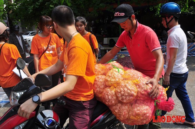 Thấy giá hành, tỏi của Lý Sơn đang mất giá, cộng thêm vấn nạn lệ trừ bì bất công của thương buôn đối với người dân (hành 100 kg trừ 12 kg, tỏi 100 kg trừ 5 kg), anh Phạm Văn Thắm (đội 2, thôn Đông, xã An Vĩnh, huyện Lý Sơn, Quảng Ngãi) đã làm đơn lên UBND huyện Lý Sơn, với mong muốn đưa hành, tỏi của bà con ra bên ngoài bán.