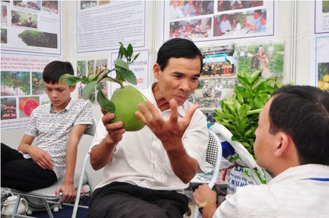 ngam buoi ho lo hinh ban do viet nam o ha noi hinh anh 4