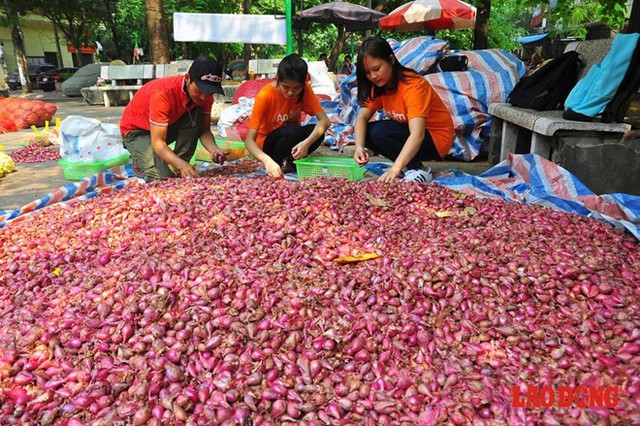 Anh Thắm cùng với những người bạn đã tổ chức một chương trình thiện nguyện phi thương mại có tên: Ủng hộ nông dân Lý Sơn - bảo vệ thương hiệu hành, tỏi - xóa bỏ lệ trừ bì. Hiện có 6 tấn tỏi và 2 tấn hành được anh thu mua của bà con nông dân với giá cao nhất so với thị trường hiện tại (50.000 đồng/kg tỏi, 30.000 đồng/kg hành) - không trừ bì, với chi phí mang từ đảo về Hà Nội mất 30.000 - 40.000 đồng/kg.