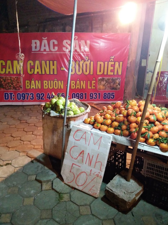 
Hiện tại, cam Canh, bưởi Diễn, vẫn chưa bước vào vụ thu hoạch nhưng chúng đã được bày bán nhan nhản trên thị trường. Nhất là trên các tuyến phố quanh đất Diễn.
