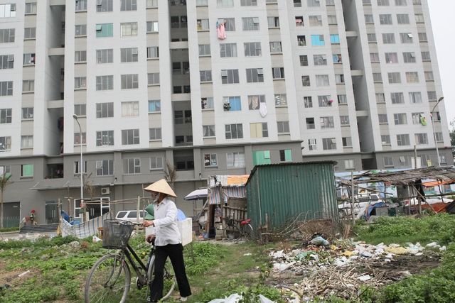 Nếu không có ý thức giữ gìn vệ sinh môi trường sống, tại nhà cao tầng và chung cư cao tầng vẫn có thể là “ổ” muỗi gây dịch bệnh.	 Ảnh: Chí Cường