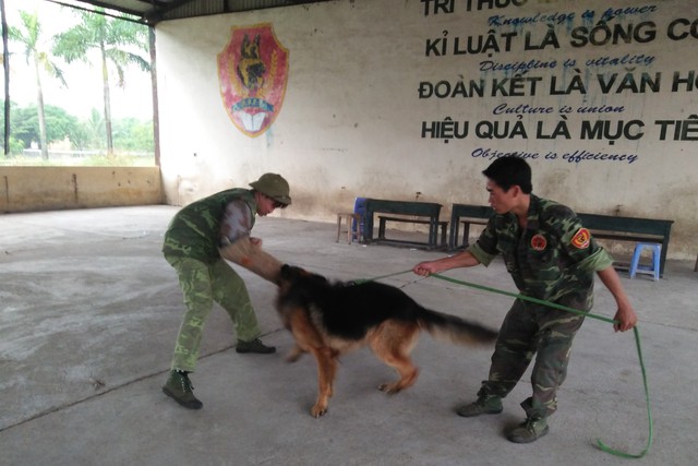 Nguy hiểm, vất vả nhất khi làm “quân xanh”.