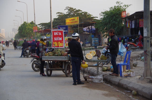 Dừa Xiêm?