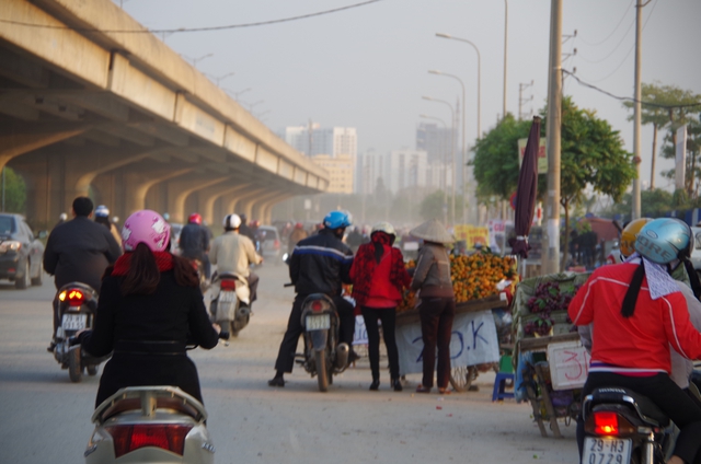 Cam 20.000 đồng/kg vẫn bán chạy nhất