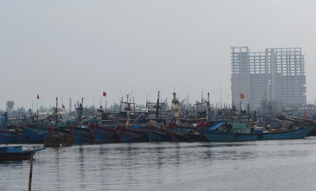 Nhiều tàu thuyền của ngư dân miền Trung vào neo đậu ở cảng cá Thọ Quang - Đà Nẵng tránh trú bão. Ảnh Đức Hoàng