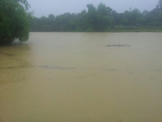 Nước đã lên trắng đồng ở nhiều khu vực huyện Hương Sơn. (Ảnh Tuấn Anh)