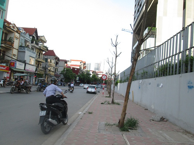 
Hàng cây chết khô ở cuối phố Trần Bình.

 
