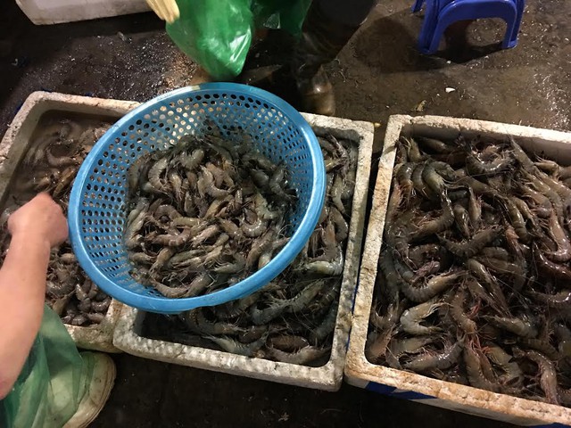 Sau khi có thông tin cá biển chết hàng loạt ở miền Trung, dân Hà Nội bắt đầu e dè khi mua các loại hải sản đông lạnh