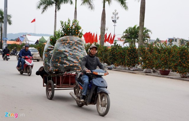 Những chiếc xe máy được gắn thêm phía sau để phục vụ việc vận chuyển hoa, cây cảnh Tết. Ảnh: Nguyễn Dương.