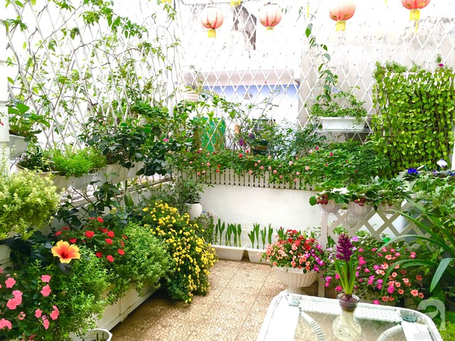Khu vườn 15m² của chị Linh Chi khiến ai ngắm nhìn cũng trầm trồ khen ngợi.