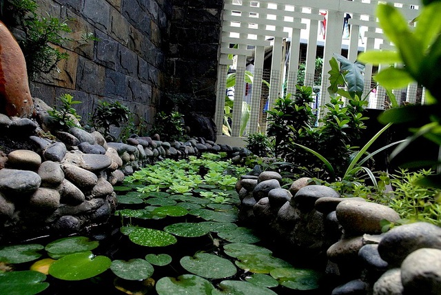 Nên trồng thêm cây xanh hoặc bổ sung hồ nước trong nhà để tăng phần tự nhiên