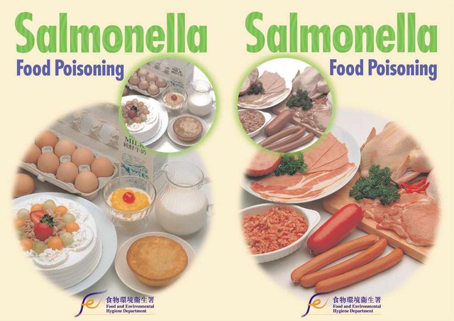 
Bất kỳ thực phẩm tươi như thịt lợn, thịt gia cầm, sữa, trứng, hải sản... cùng với một số rau, quả có thể chứa vi khuẩn salmonella. Ảnh minh họa
