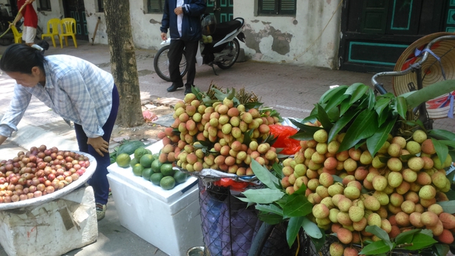 
Vải lai ồ ạt đổ bộ Hà Nội, nhiều người bán hàng lợi dụng người dân không để ý cho biết đây là vải thiều để bán với giá cao, chất lượng tốt
