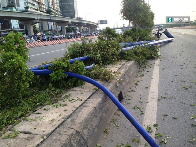  Hơn 100m hàng cây xanh bị cày nát, 2 cột đèn chiếu sáng bị gãy ngang.