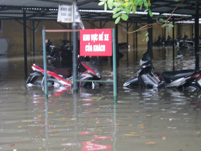 
 

Các phương tiện trong cơ quan này tê liệt.

 
