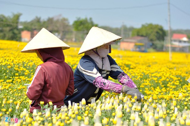 
Mỗi người mỗi nơi, mỗi hoàn cảnh nhưng khi làm việc họ hợp thành một. Nhiều người trở nên thân thiết, gắn bó và giúp đỡ để vượt lên trong cuộc sống. Họ đang nỗ lực làm việc để kiếm tiền lo cho gia đình có cái Tết đầm ấm.
