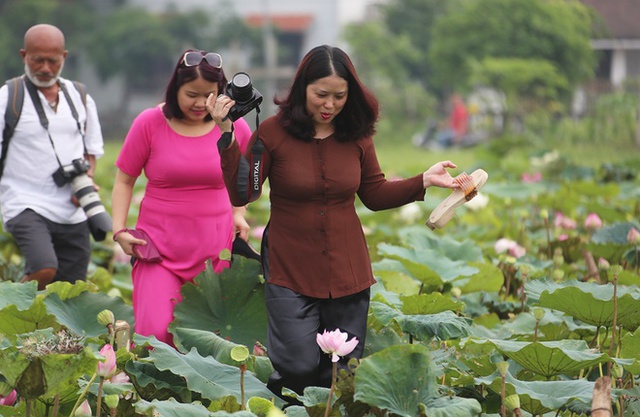 
Trung bình một ngày đầm đón 50 khách (vé vào cửa 50.000 đồng/người). Cao điểm có hôm anh thu được 5 triệu đồng tiền bán vé.
