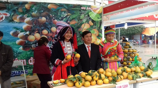 
Đồng chí Nông Huy Tùng, Phó chủ tịch huyện Hàm Yên bên quầy hàng trưng bày sản phẩm cam sành Hàm Yên tại Hội chợ Xuân 2016.

