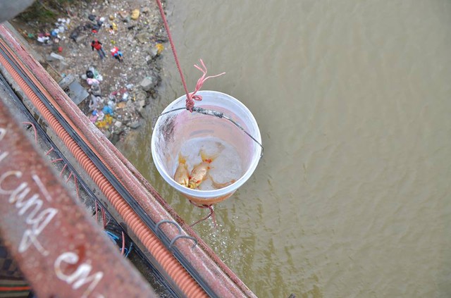 
Tại cầu Long Biên, năm nay người dân không đứng từ trên cầu vứt cả túi cá xuống như mọi năm mà bỏ vào xô rôi thả xuống.
