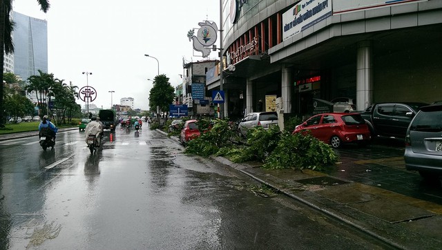 
Rạng sáng nay (28/7), bão số 1 bắt đầu đổ bộ vào Hà Nội gây ra nhiều thiệt hại nhiều về người và tài sản. Đáng chú ý trong đó có tuyến đường Nguyễn Chí Thanh vừa được Hà Nội trồng mới thay thế cây xanh nhưng đã bị đổ rất nhiều.
