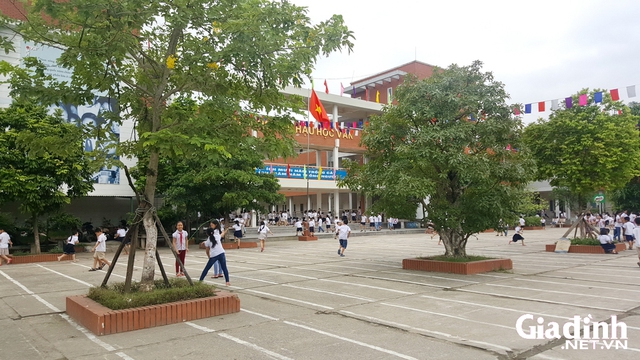 
Đây được xem là một trong những ngôi trường lớn nhất của thành phố Hà Nội với diện tích mặt bằng gần 14.000m2, được thiết kế theo kiểu dáng hiện đại, khang trang và có thể đáp ứng được nhu cầu học tập trên 1000 học sinh.
