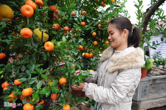 Chị Chu Thị Hoa cho biết, từ khoảng 5 năm trước, hai vợ chồng chị mày mò ghép mắt để tạo nên những cây cảnh đặc biệt.