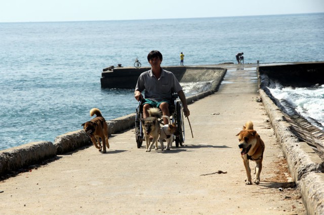 
Chiếc xe độc đ&aacute;o của anh Huệ. Du kh&aacute;ch c&oacute; thể bắt gặp anh tại cầu cảng, trong ng&otilde; hẻm hoặc tr&ecirc;n con đường v&ograve;ng quanh đảo b&eacute; L&yacute; Sơn.
