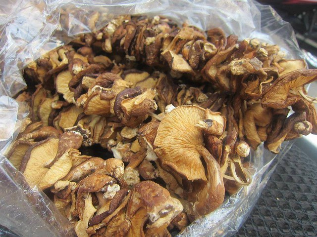 Chị em trong công ty chị Hà mua chung 1kg nấm hương có giá 350 nghìn