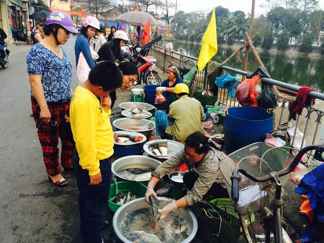 
Người dân ngán thịt bánh, xếp hàng chờ mua cá về ăn để giải ngấy
