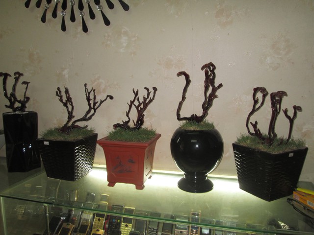 
Linh chi bonsai khô.
