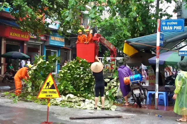 
Người dân Quảng Ninh đang tích cực phòng chống bão. Ảnh: Đ. Tuỳ
