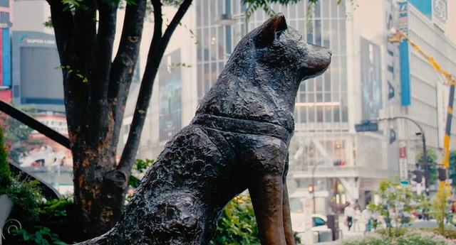 
Tượng đá của Hachiko - chú chó trung thành nổi tiếng thế giới.
