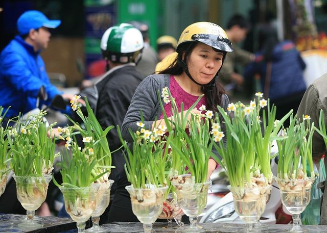 B&ecirc;n cạnh vẻ đẹp ki&ecirc;u sa, thủy ti&ecirc;n c&ograve;n khử t&agrave; kh&iacute; v&agrave; đem đến an l&agrave;nh.