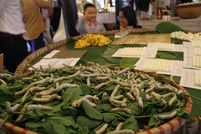 Tại Festival du khách được ngắm nhìn con tằm ăn lá dâu và nhả tơ...