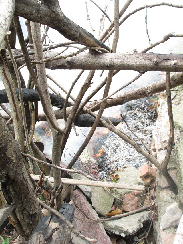 
 

Đốt rác ngay bên hàng rào khô, liệu có thể đảm bảo sẽ không xảy ra cháy lớn?

 
