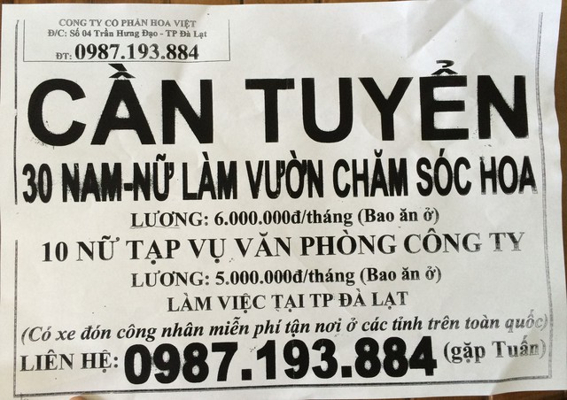 
Tờ rơi tuyển dụng của Công ty CP Hoa Việt. Ảnh: Lê Chung
