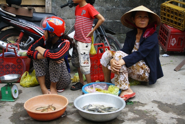 
Tiểu thương bán cá tại chợ xã LộcVĩnh (Phú Lộc, Thừa Thiên Huế) ngán ngẩm nhìn cá biển ế không bán được
