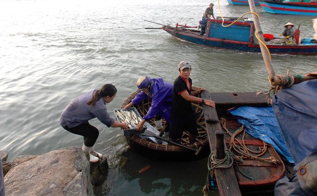 
Các ngư dân vẫn ra khơi mỗi ngày
