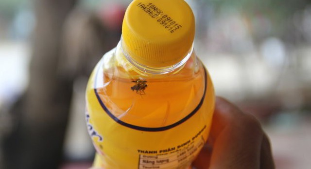 Cá thể được cho là ruồi trong chai nước có dán nhãn Number one